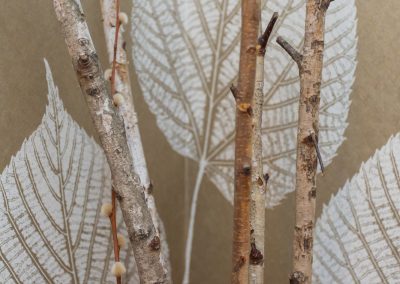 Studio 12 Designs - Organic